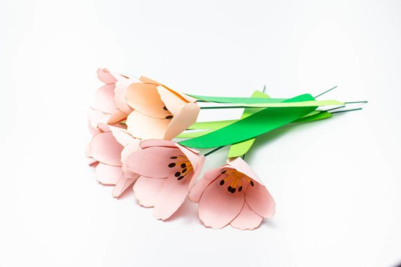 Pink Tulips, 3D Flowers – A Designer’s Real-World Review